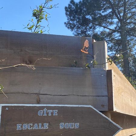 살레 Escale Sous Les Pins 빌라 외부 사진